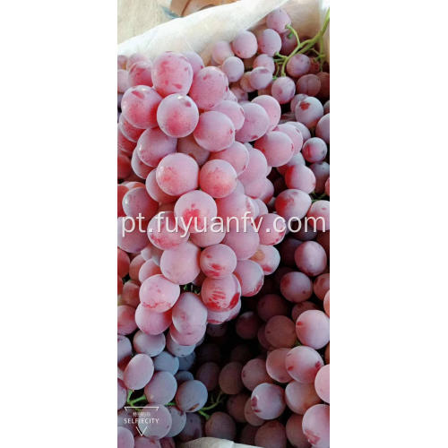 uvas vermelhas frescas de yunnan